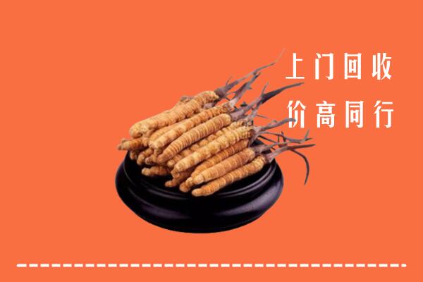 高价求购：乌拉特前旗回收散虫草
