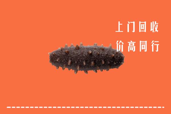 高价求购：乌拉特前旗回收海参