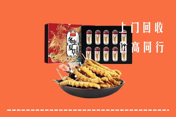 乌拉特前旗回收虫草